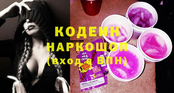 индика Снежногорск