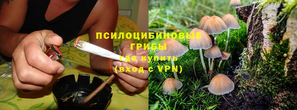 крисы Алексеевка