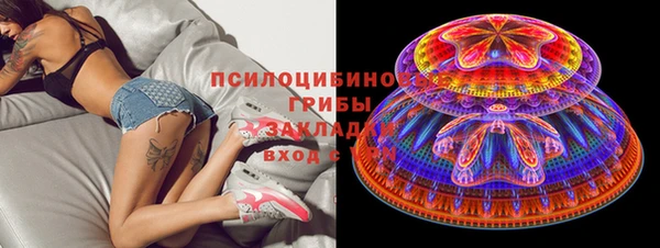 крисы Алексеевка