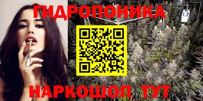 наркотики Кингисепп